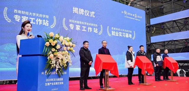 鷹皇科技一月簡報(bào),成都鷹皇科技專業(yè)舞臺燈光音響視頻工程
